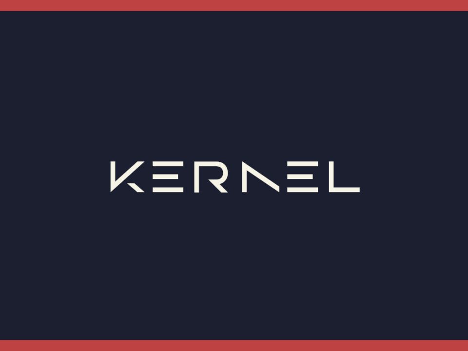 The Artist's Fingerprint: Kernel Intuition For AI & LLM Search Measurement